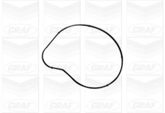 Wasserpumpe Motorkühlung für BMW 5 Touring 6 Cabriolet 7 X5