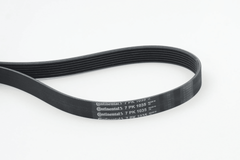 Keilrippenriemen für BMW NISSAN RENAULT 7 8 ELGRAND PATHFINDER IV QUEST CLIO