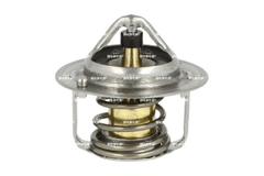 Thermostat Kühlmittel für LADA MITSUBISHI NISSAN RENAULT DACIA XRAY OUTLANDER