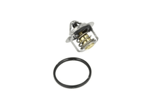 Thermostat Kühlmittel für LADA MITSUBISHI NISSAN RENAULT DACIA XRAY OUTLANDER