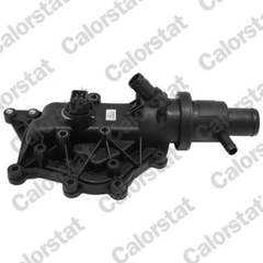 Thermostat Kühlmittel für RENAULT CLIO II LAGUNA Grandtour THALIA