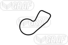 Wasserpumpe Motorkühlung für NISSAN RENAULT DACIA MICRA V CLIO SYMBOL/LOGAN III