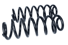 2x Fahrwerksfeder Hinterachse für VW JETTA IV PASSAT B6 Variant B7 TOURAN