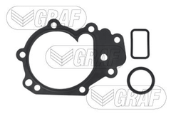 Wasserpumpe Motorkühlung für NISSAN RENAULT KUBISTAR Kasten CLIO II KANGOO