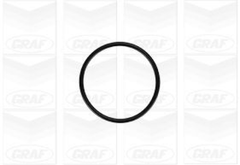 Wasserpumpe Motorkühlung für AUDI FORD SEAT SKODA VW A2 A3 Sportback Cabriolet