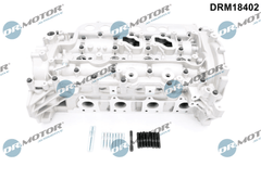 Zylinderkopf für NISSAN OPEL RENAULT QASHQAI / +2 I X-TRAIL II III PRIMASTAR