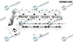 Zylinderkopf für CITROËN FIAT IVECO PEUGEOT JUMPER II Kasten