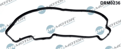 Dichtung Zylinderkopfhaube für CITROËN FIAT FORD MAZDA PEUGEOT SUZUKI VOLVO