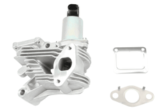 AGR Ventil für RENAULT GRAND SCÉNIC II LAGUNA Grandtour MEGANE Stufenheck