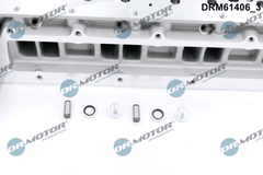 Zylinderkopf für CITROËN FIAT IVECO PEUGEOT MITSUBISHI JUMPER II Kasten