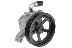 Hydraulikpumpe Lenkung für SUZUKI BUICK XL7 ENCLAVE