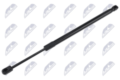 Gasfeder Motorhaube für TESLA MODEL S