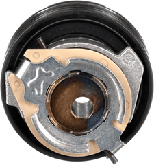 Spannrolle Zahnriemen für CITROËN PEUGEOT DS BERLINGO MULTISPACE C3 AIRCROSS II