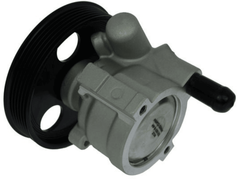 Hydraulikpumpe Lenkung für RENAULT DACIA CLIO II KANGOO LOGAN I Kombi MEGANE