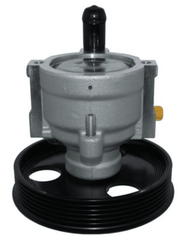 Hydraulikpumpe Lenkung für RENAULT DACIA CLIO II KANGOO LOGAN I Kombi MEGANE