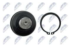 Trag Führungsgelenk Hinterachse für NISSAN PATHFINDER III VAN
