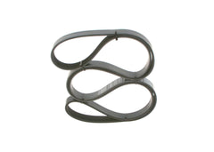 Keilrippenriemen für MAN AUDI VW OPEL SKODA MITSUBISHI SEAT DAIHATSU TOYOTA