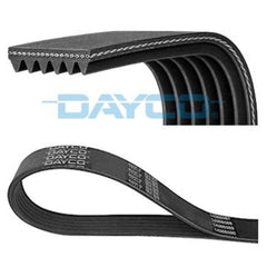 Keilrippenriemen für VW MAN AUDI SKODA SEAT NISSAN MINI CUPRA GOLF VII TIGUAN