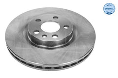 2x Bremsscheibe Vorderachse für CITROËN FIAT LANCIA PEUGEOT EVASION