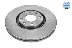 2x Bremsscheibe Vorderachse für CITROËN FIAT OPEL PEUGEOT JEEP DS C4 GRAND
