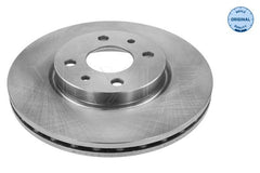 2x Bremsscheibe Vorderachse für ALFA ROMEO CITROËN FIAT LANCIA PEUGEOT MITO