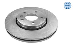 2x Bremsscheibe Vorderachse für NISSAN OPEL RENAULT PRIMASTAR Bus