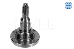 Achsschenkel Radaufhängung Hinterachse für AUDI SEAT VW 80 B2 Stufenheck B3 90
