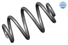 Fahrwerksfeder Hinterachse für BMW 3 Coupe Compact Touring