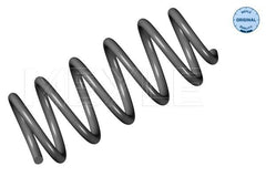 Fahrwerksfeder Hinterachse für AUDI A6 C5 Avant