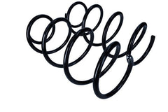 2x Fahrwerksfeder Vorderachse für RENAULT LAGUNA II Grandtour