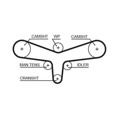 Zahnriemen für AUDI SKODA VW A4 B5 Avant B6 Cabriolet B7 A6 C5 A8 D2 ALLROAD