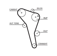 Zahnriemen für AUDI FORD SEAT VW A4 B5 Avant GALAXY I MK VAN ALHAMBRA CORDOBA