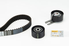 Zahnriemensatz für CITROËN FIAT FORD MAZDA PEUGEOT SUZUKI VOLVO MINI BERLINGO /