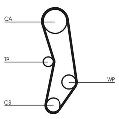 Zahnriemen für AUDI NISSAN 80 B4 Stufenheck Avant 100 C4 A6 COUPE B3