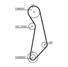 Zahnriemen für AUDI SEAT SKODA VW A3 Sportback Cabriolet A4 B5 Avant B6 B7