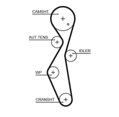 Zahnriemen für CITROËN FIAT FORD OPEL PEUGEOT TOYOTA USA DS C4 GRAND PICASSO I
