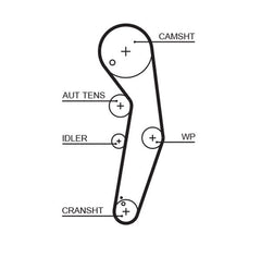 Zahnriemen für AUDI FORD SEAT SKODA VW A2 A3 Sportback Cabriolet A4 B5 Avant B6