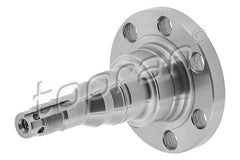 Achszapfen Achskörper Hinterachse für AUDI SEAT VW 80 B1 Stufenheck B2 B3 90