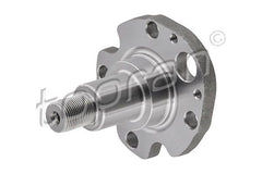 Achszapfen Achskörper Hinterachse für AUDI SEAT SKODA VW A3 TT Roadster LEON