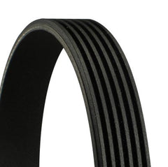 Keilrippenriemen für AUDI CITROËN LADA SEAT SKODA VW CUPRA A1 Sportback A2 A3