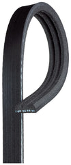 Keilrippenriemen für HONDA MG NISSAN RENAULT ROVER DACIA CIVIC III Stufenheck