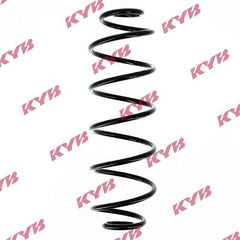 Fahrwerksfeder Hinterachse für VW BEETLE