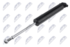 Stoßdämpfer Hinterachse für CITROËN OPEL PEUGEOT VAUXHALL C4 PICASSO II C5